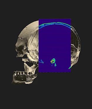 Luzio Tridimensional rendering of the skull 4 Credit Andre Strauss