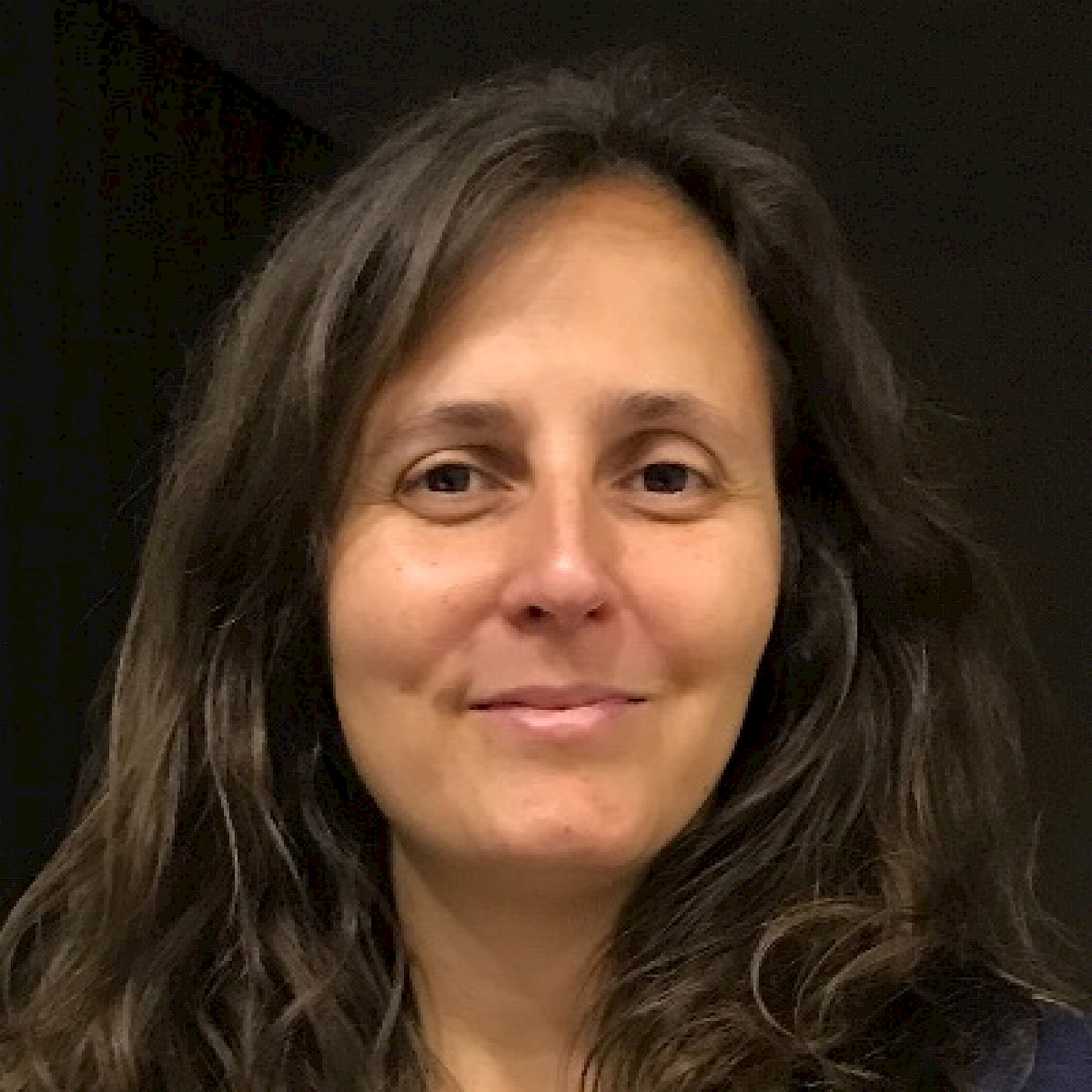 Catarina Silva, professora do Departamento de Engenharia Informática da FCTUC e investigadora no Centro de Informática e Sistemas da Universidade de Coimbra .