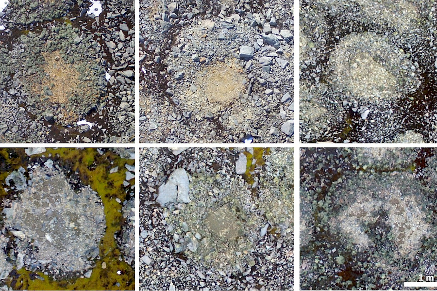 Círculos de pedras - exemplos Antartida