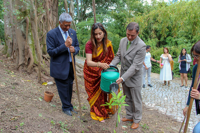 Embaixada da Índia - Ação de plantação no JBUC